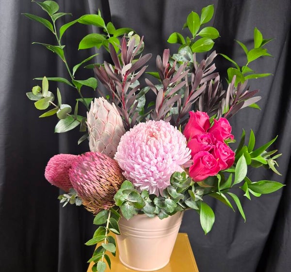 Blushing Bushland Beauty