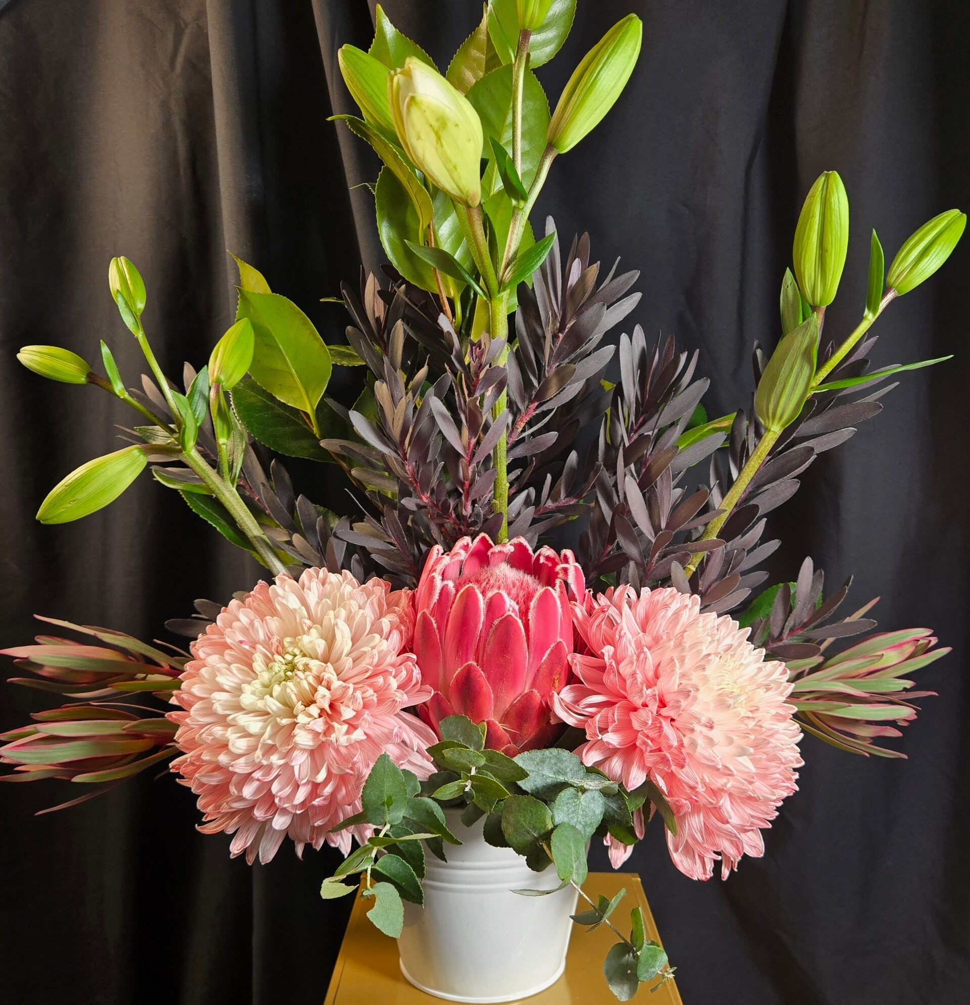 Blushing Bushland Beauty