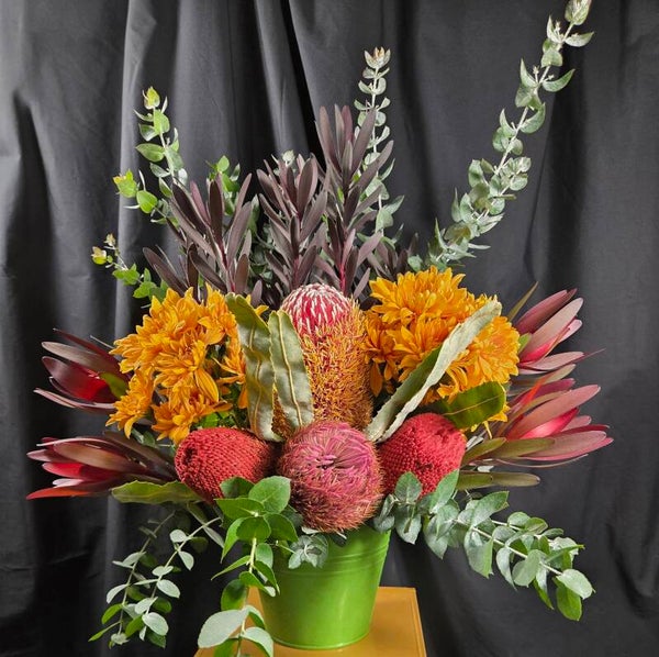 Bushland Banksia Beauty