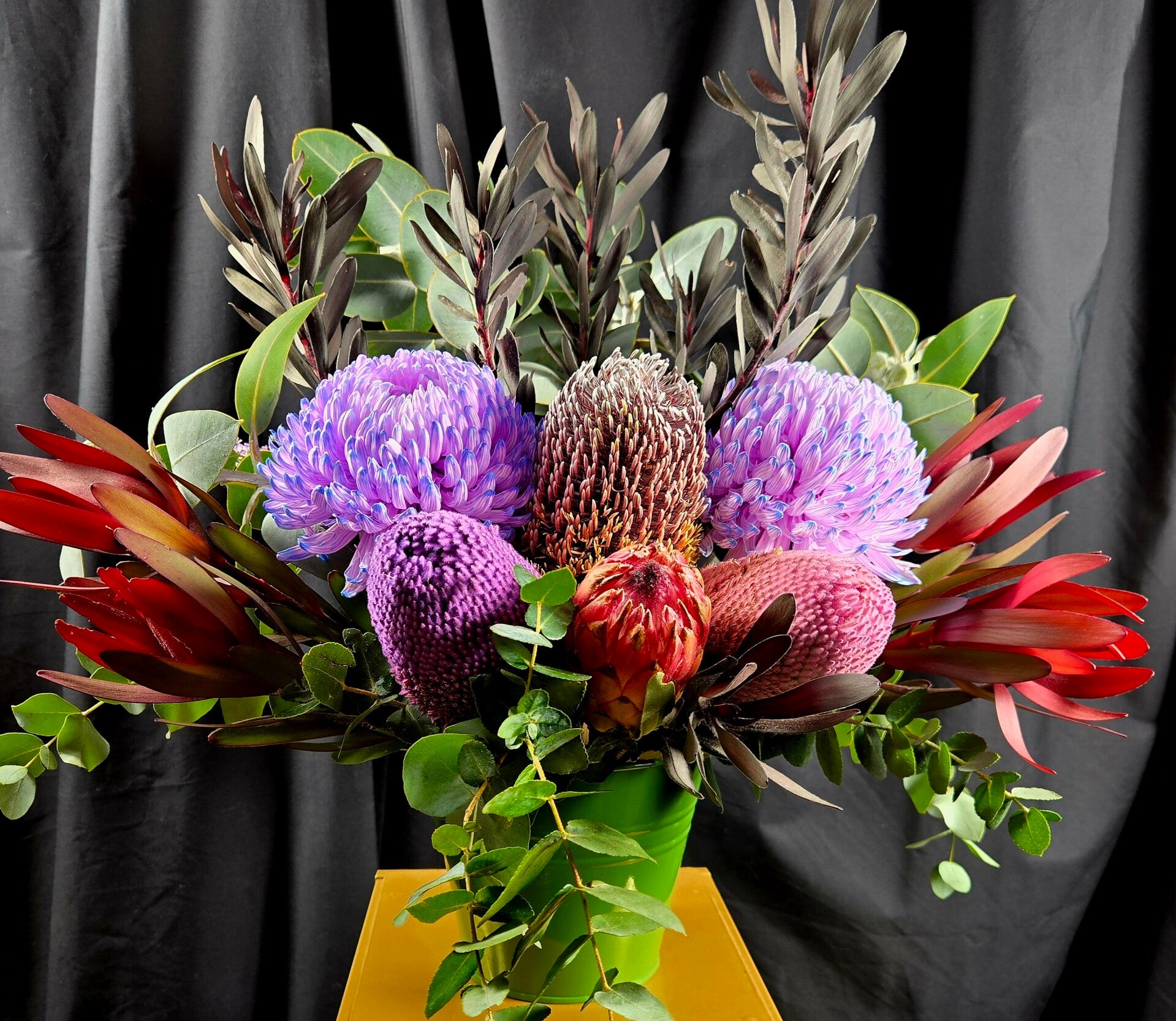 Bushland Banksia Beauty