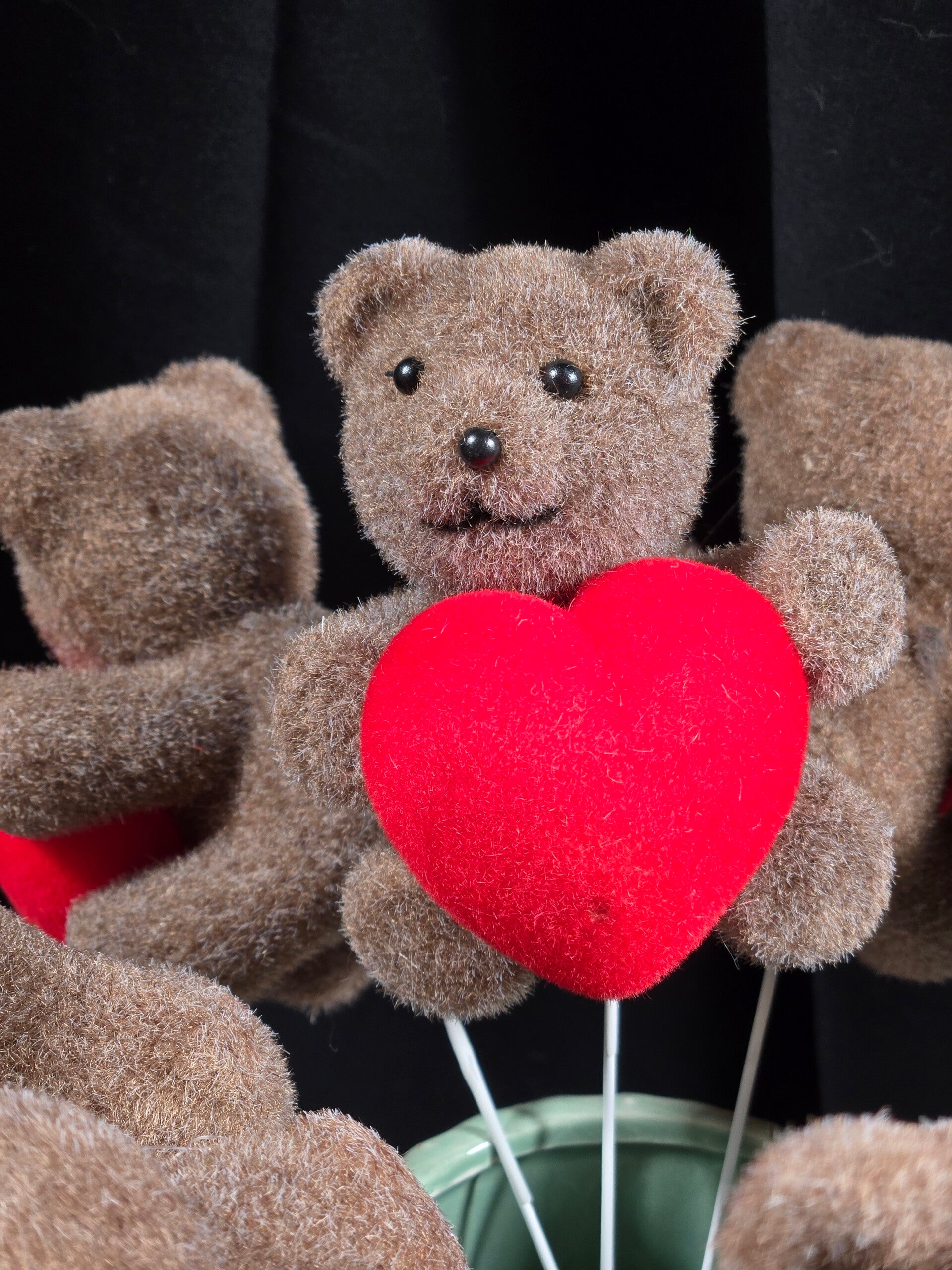 Sweetheart Bear Picks