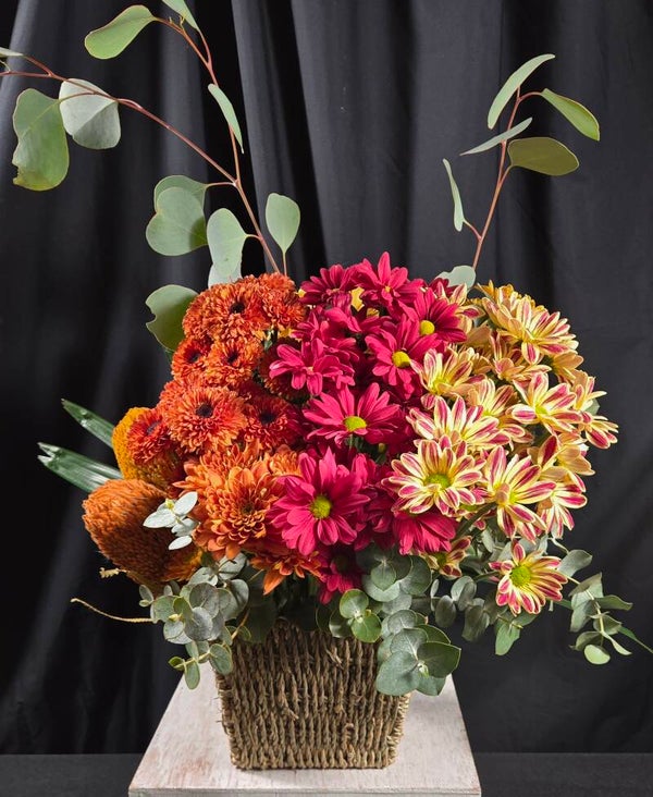 Banksia Beauty 🌾 Native Arrangement