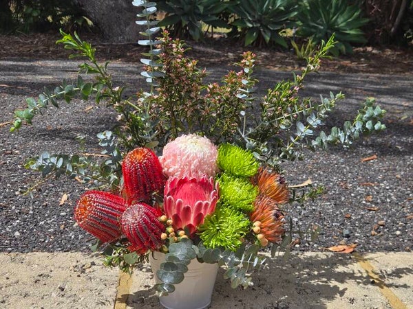 Vibrant Native Feature Arrangement