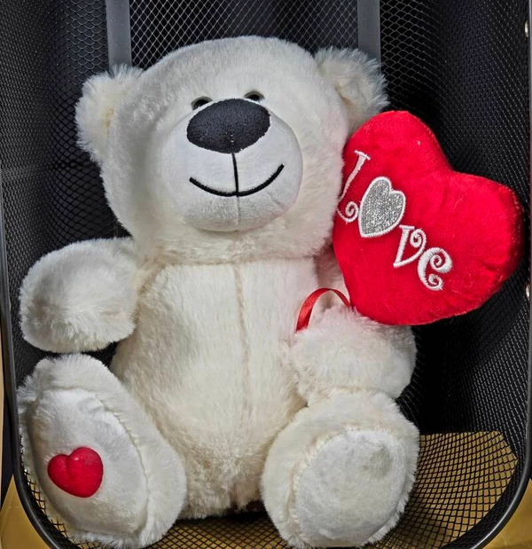 Love You Beary Much Teddy 🧸❤️