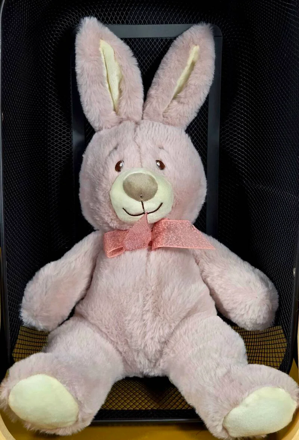 Soft Blush Bunny