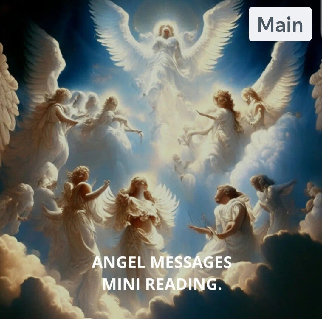 INDIVIDUAL ANGEL  MESSAGE MINII READING