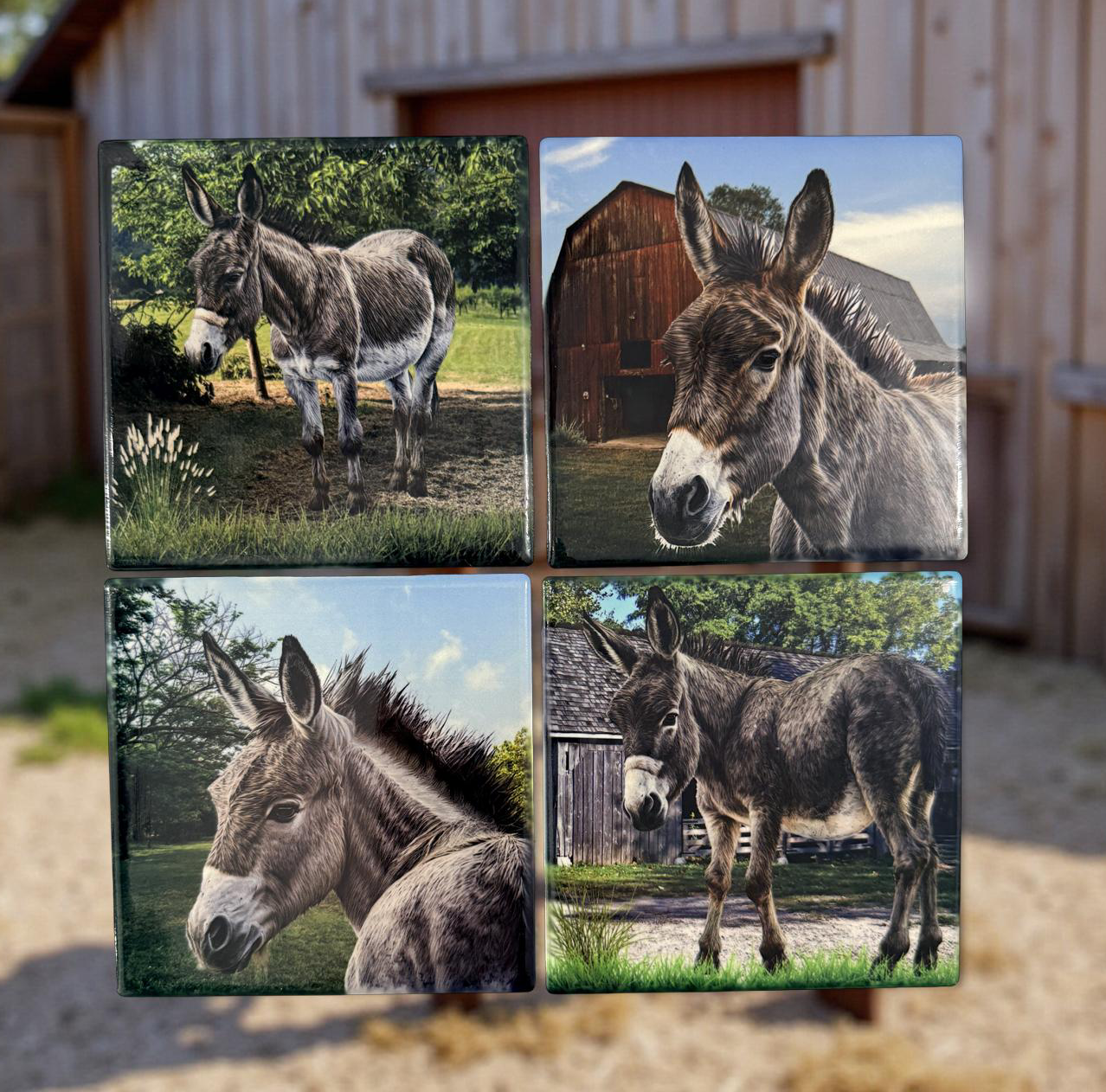 Handcrafted Donkey Print Ceramic Coaster Set (Set of 4)