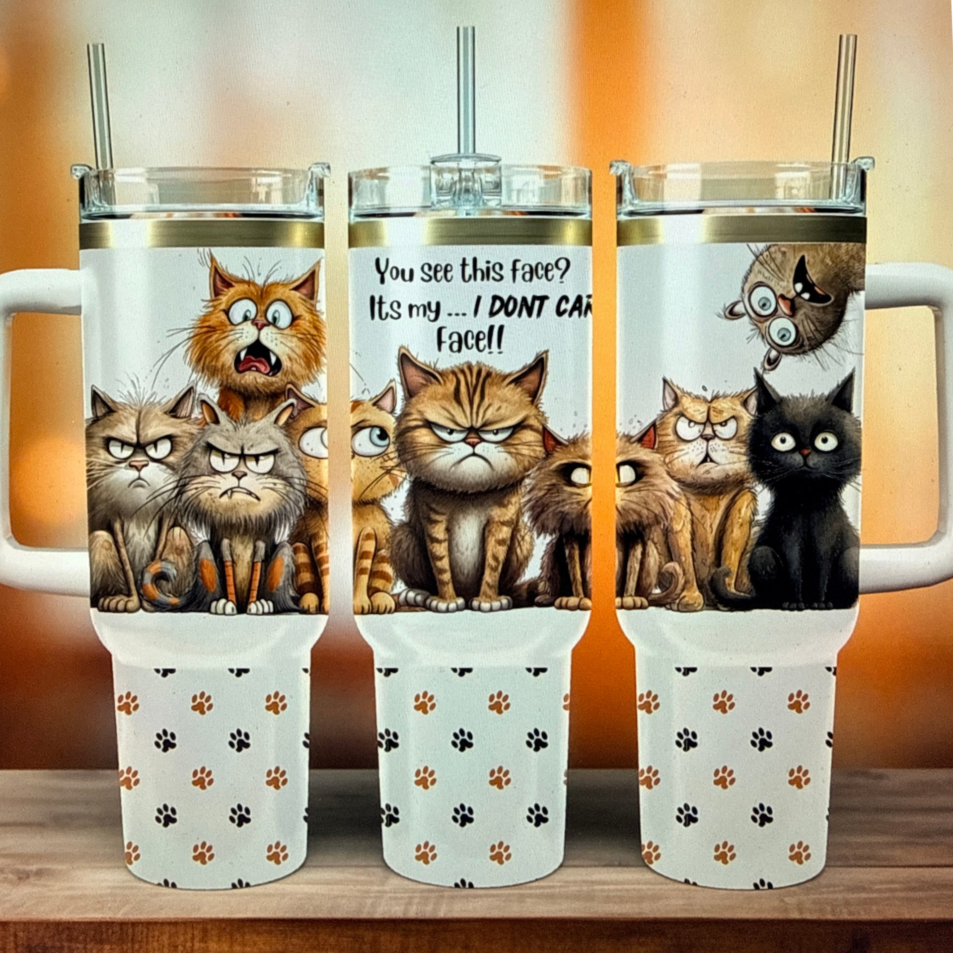 Sarcastic Cat 40oz Tumbler with Handle | Grumpy Cat Travel Mug with Metal Straw & Dual-Purpose Lid