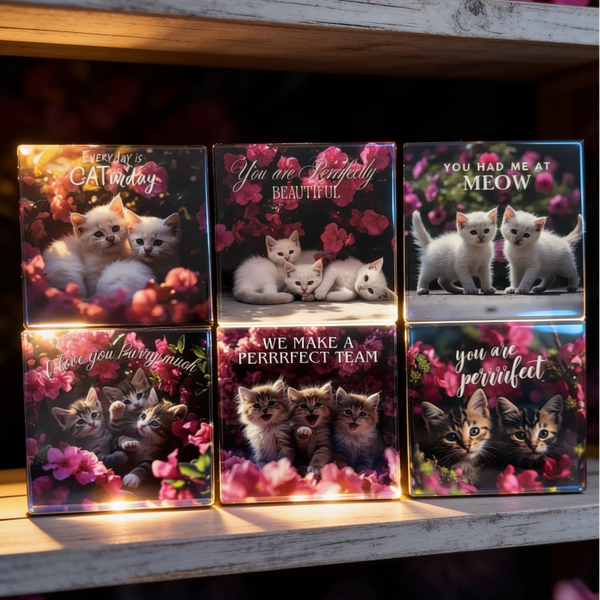 Adorable Cat & Floral Ceramic Coaster Set (Set of 6)