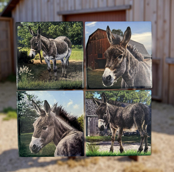 Handcrafted Donkey Print Ceramic Coaster Set (Set of 4)