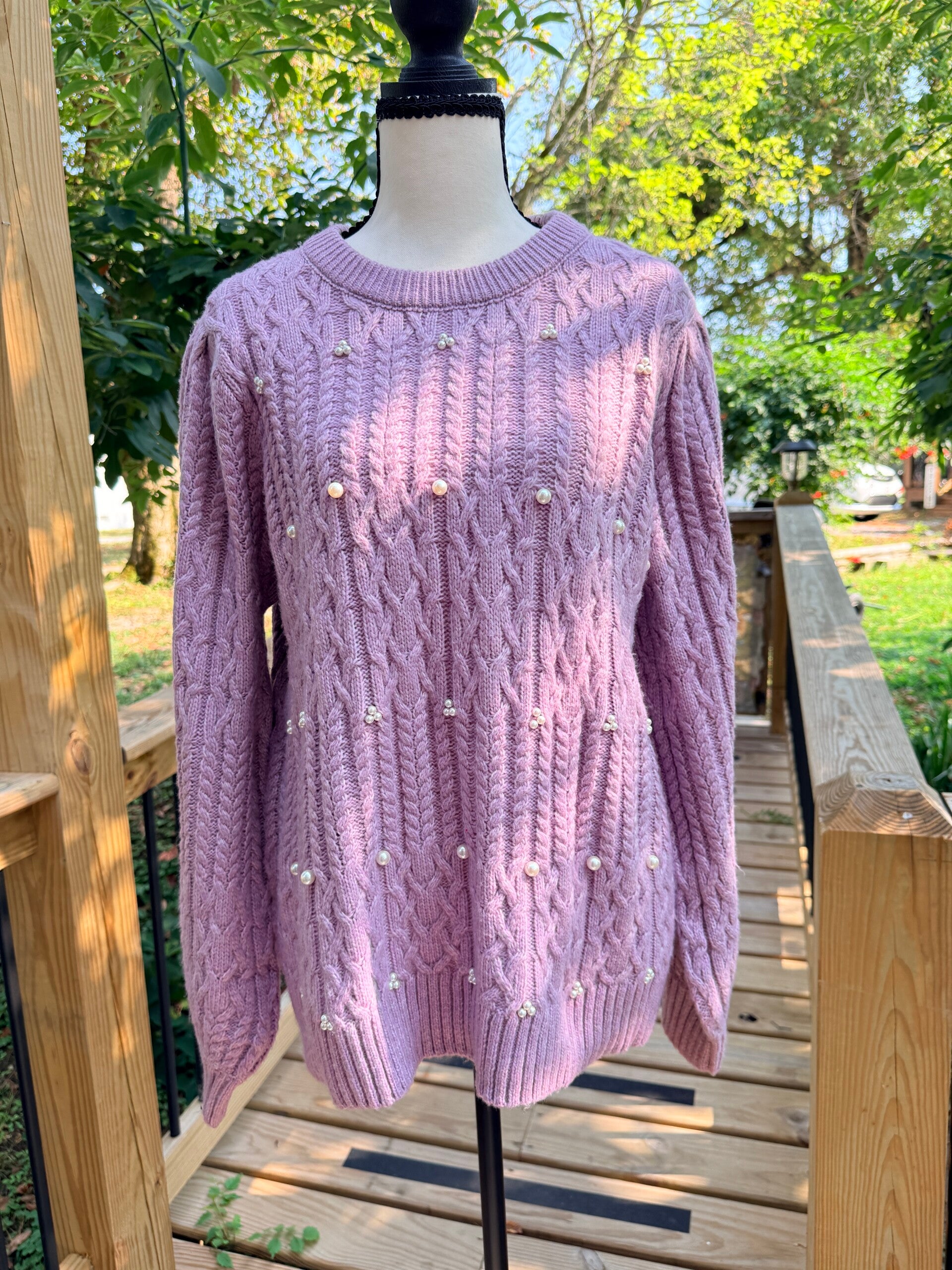Terra & Sky Pearl Embellished Cable Knit Pullover Sweater