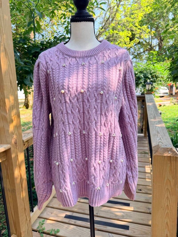 Terra & Sky Pearl Embellished Cable Knit Pullover Sweater