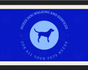 Dukes dog walking and pet services