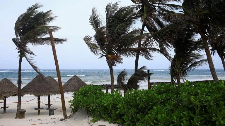 Palmeras en la playa antes de la llegada del huracán Beryl, en Tulum, Quintana Roo. Foto: Reuters