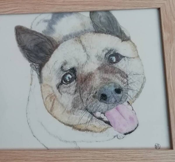 A4 Pastel on pastelmat with frame.