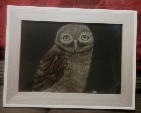 'Owl Fledgling...'