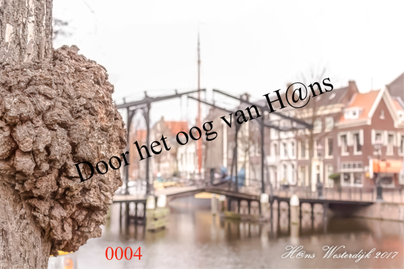 0004 parasiet scherpte, diepte