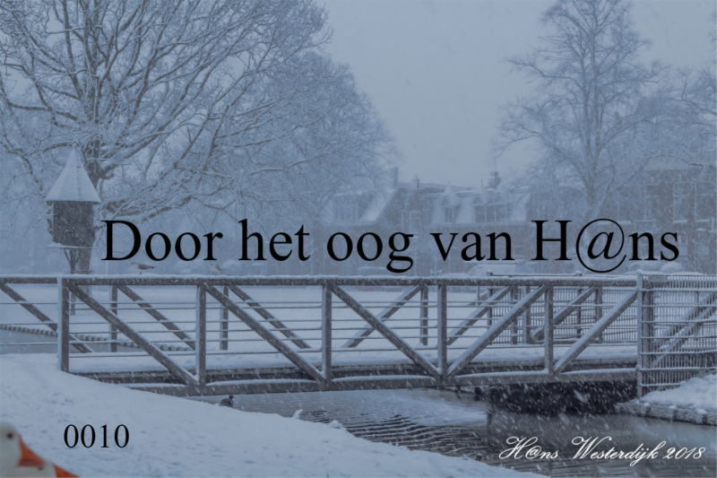 0010 't Hoft