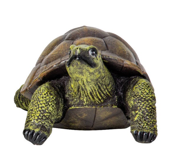 Schildkröte V02 – gratis Versand!