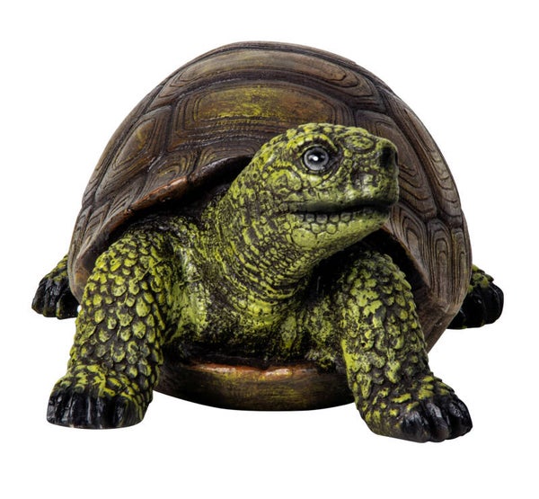 Große Schildkröte – gratis Versand!