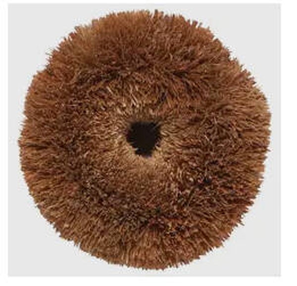 Coconut Palm Scrubber