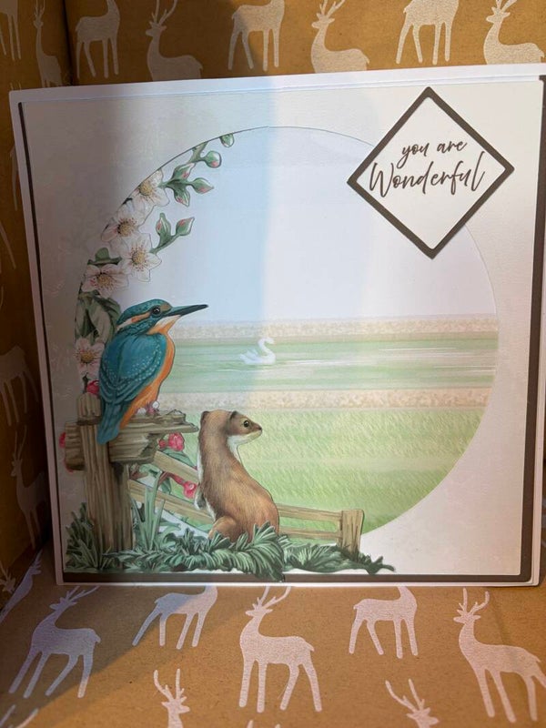 A you are wonderful l card with a  kingfisher and stoat on it