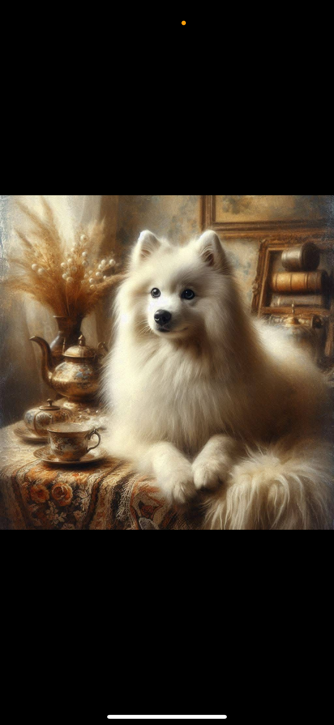Dog Cards