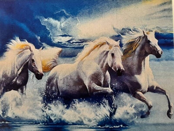 Weisse Pferde / Schimmel 55 x 40 Klebefläche