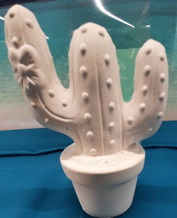 Malset Spardose Kaktus