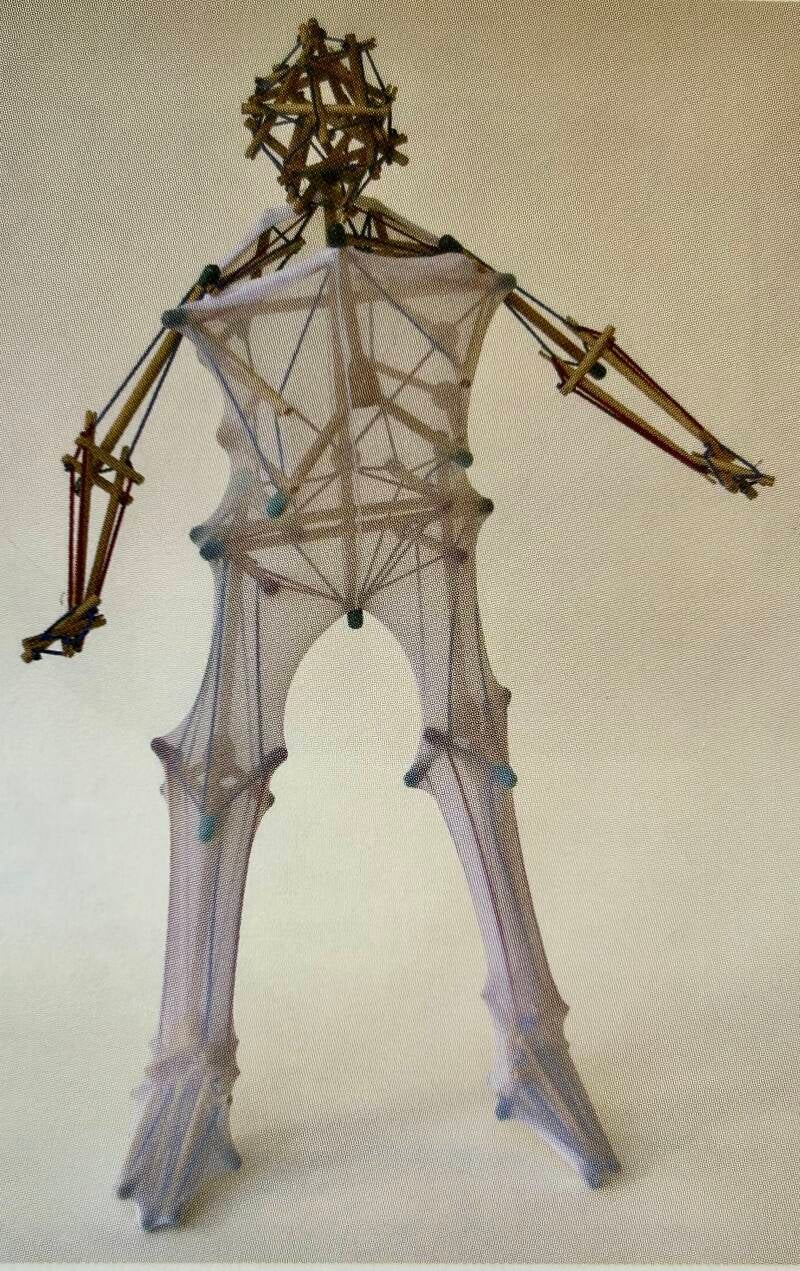 How Fascia acts like a Biological Onesie