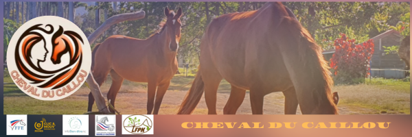 WELCOME IN NEW CALEDONIA