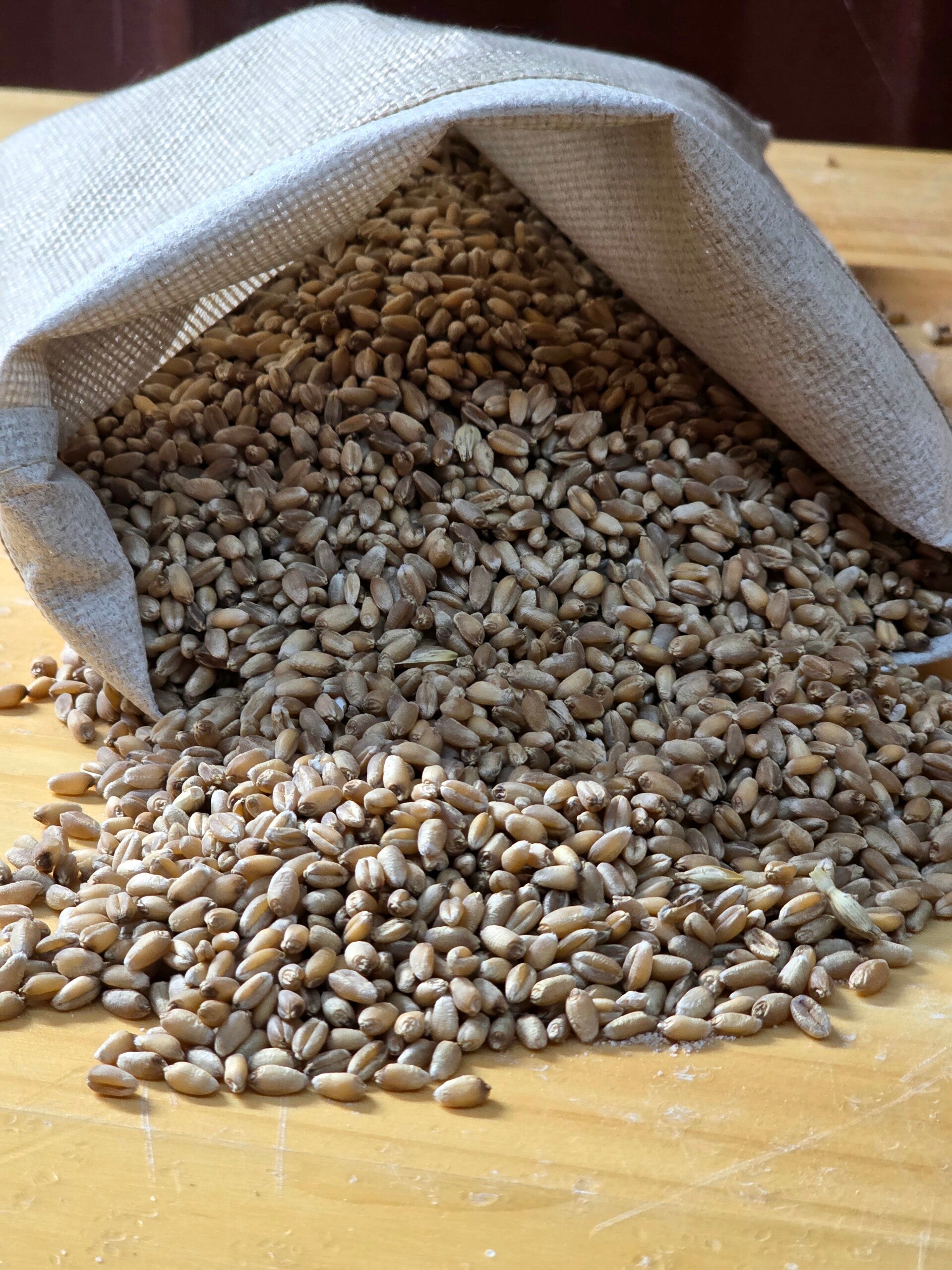 Hard Red Wheat Berries