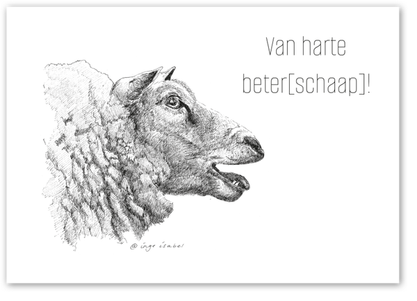 B2B Van harte beterschap!