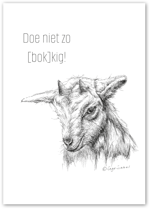 B2B Doe niet zo bokkig!