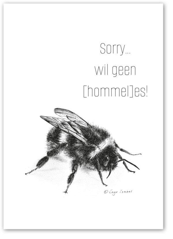 B2B Sorry… wil geen hommeles!
