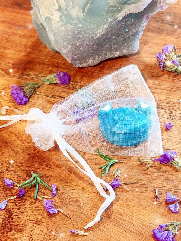 𝕡𝕝𝕒𝕪𝕗𝕦𝕝 𝕡𝕒𝕩𝕥𝕠𝕟