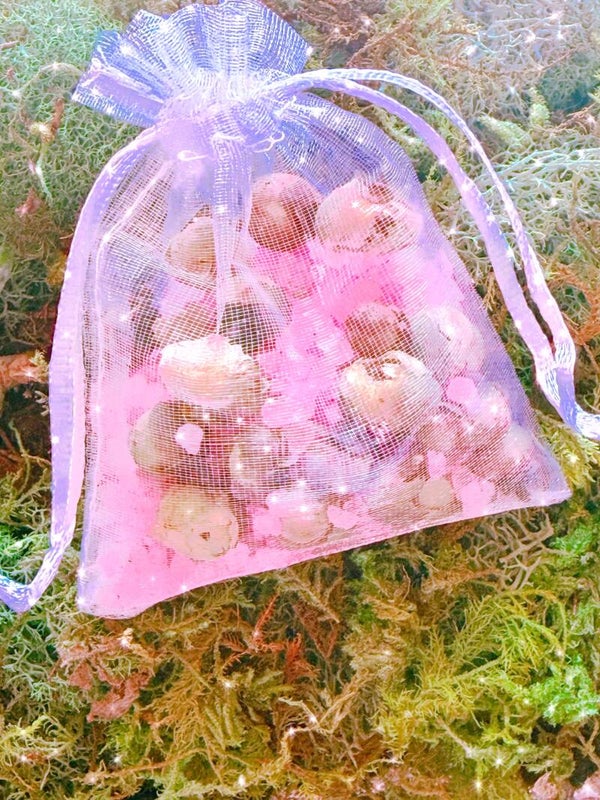 𝕨𝕠𝕠𝕕𝕝𝕒𝕟𝕕 𝕨𝕙𝕚𝕤𝕡𝕖𝕣𝕤