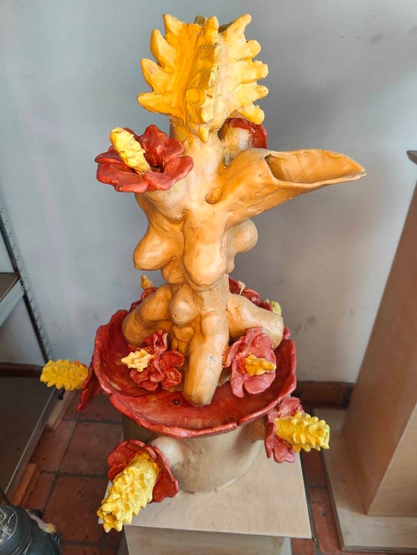Erotic Hibiscus Fountain