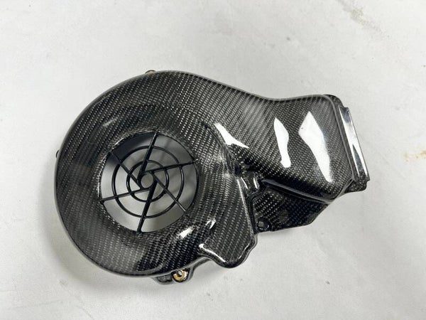 Carbon Vespa sprint Primavera koelkap 125 150 187 cc