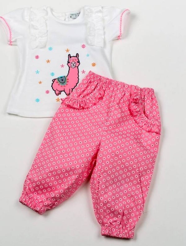 2 Piece Llama Set
