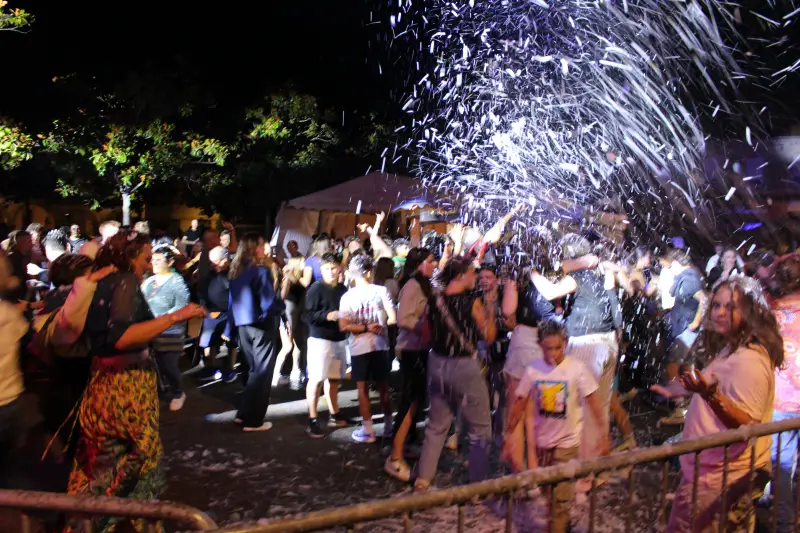 DJ pour comités des fêtes – Ambiance garantie en Haute-Garonne .webp