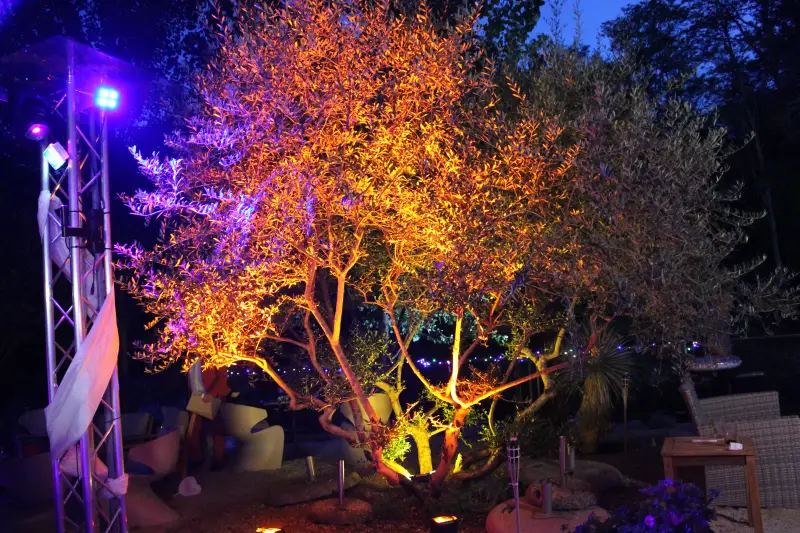 Soirées d’entreprise animées par DJ C-MiX – Musique, lumière &amp; écran LED.webp