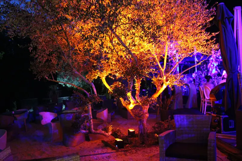 C-MiX Événementiel – DJ professionnel pour soirées d’entreprise en Occitanie.webp