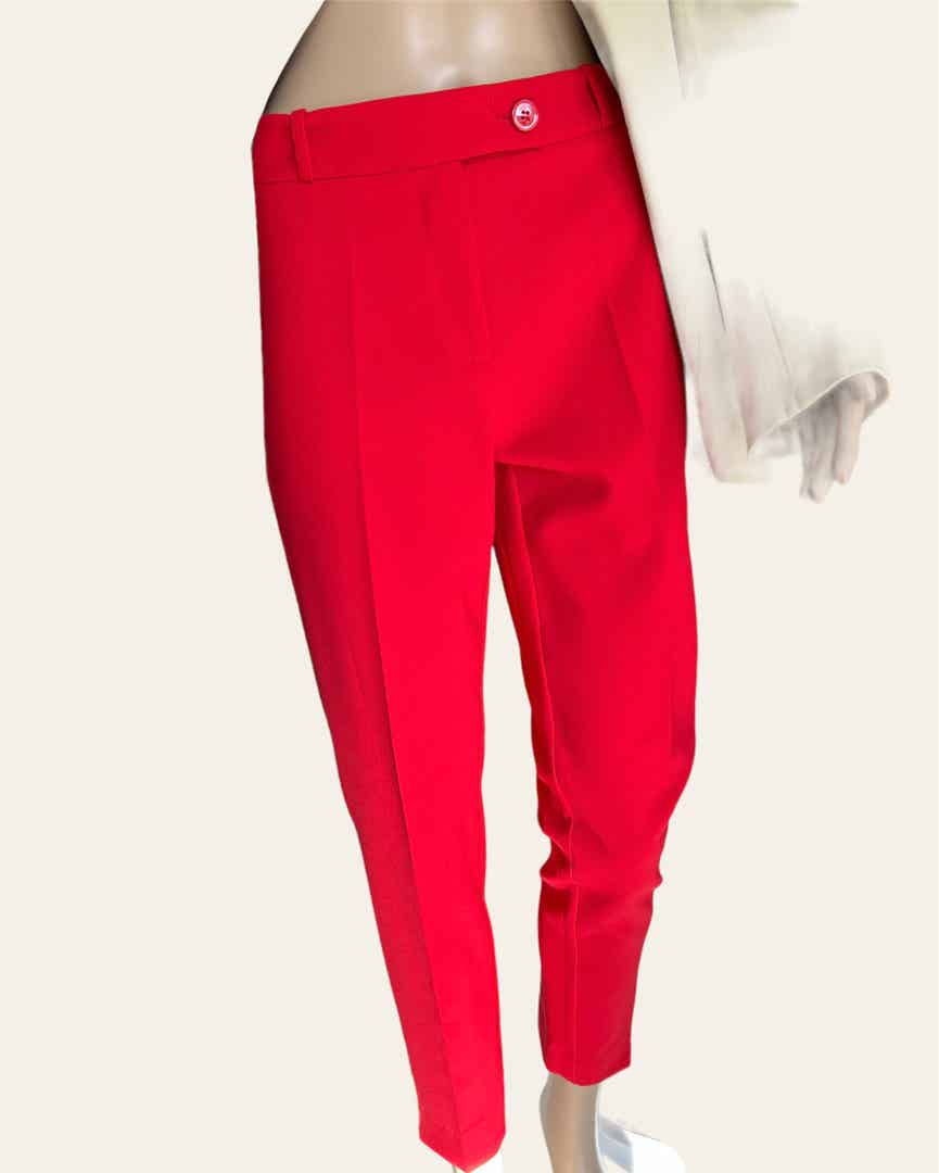 Hippocampe 🇮🇹 Pantalon Classique