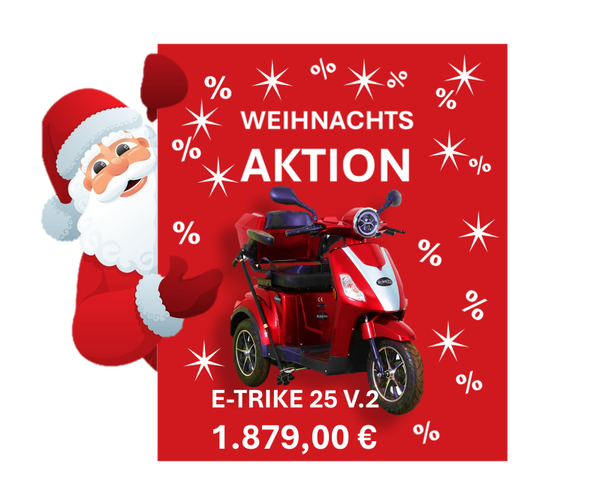 E-Trike 25 V.2 Blei-Gel, 25 km/h Sonderangebot 1879,00€