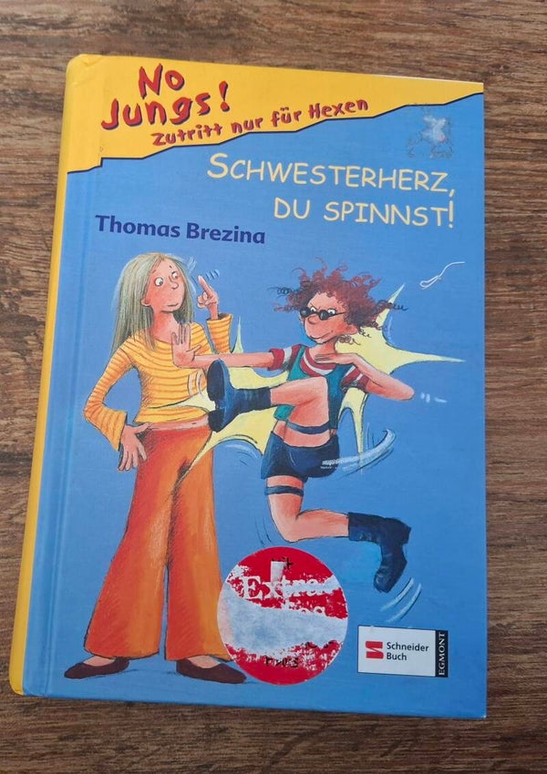 Buch Schwesterherz du spinnst!