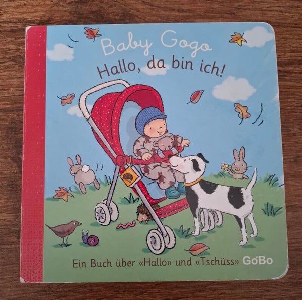 Buch Baby Gogo. Hallo da bin ich !