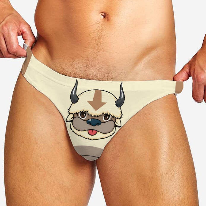 appa-2-copia-standard.jpg