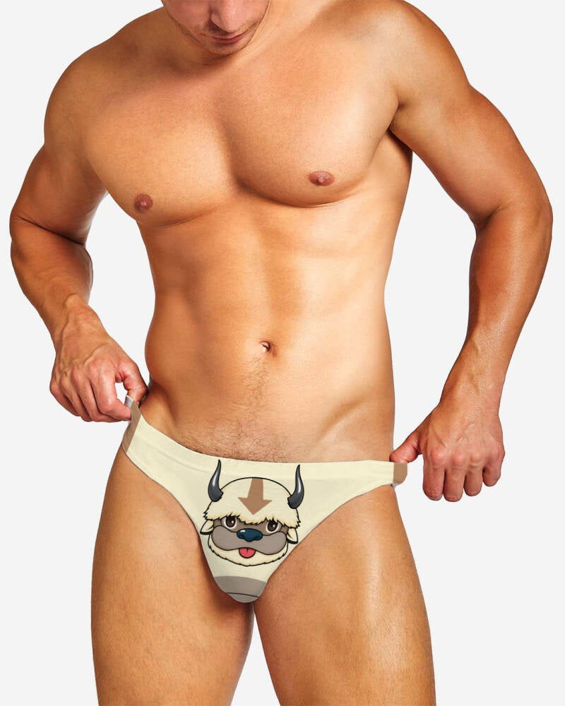 appa-2-standard.jpg