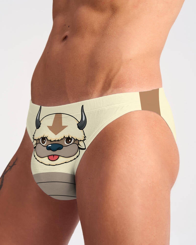 appa-3-standard.jpg